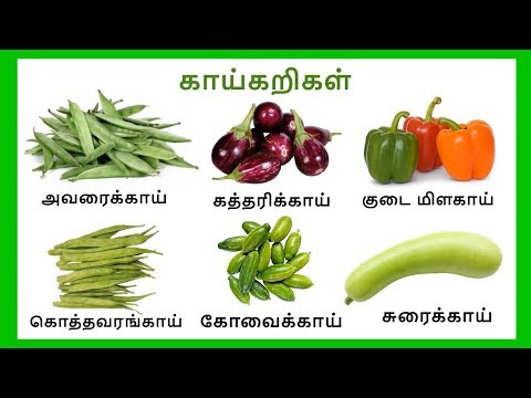 காய் காய் காய்கறிகள்  | Learn vegetables names in Tamil for kids and children - Tamilarasi