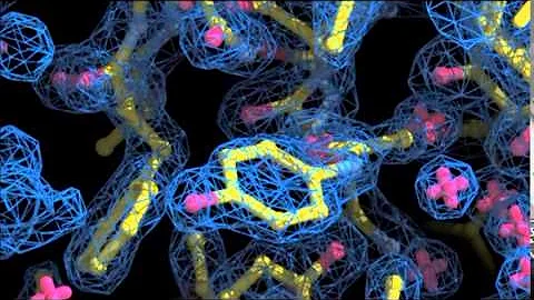 A Mega-Gray Area: Radiation damage during X-Ray Crystallographic Protein Structure Determination
