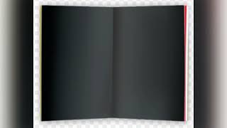 Wordless Book