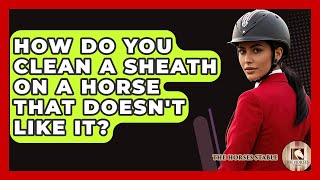 How Do You Clean A Sheath On A Horse That Doesnt Like It? - The Horses Stable