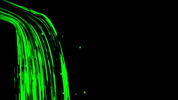 Bacterial cells flowing inside a microfluidic device