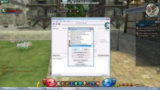 Ro2 Speedhacking