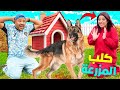 اخيرا قررنا الاعتناء بكلب المزرعة المفترس لكن عض لعزاوي وهرب لينا