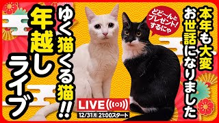 【12月31日 21時スタート】大晦日だよゆく猫くる猫 年越しライブ♪みんなで一緒に新年を迎えましょ♪