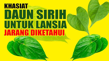 Manfaat Daun Sirih untuk Lansia: Rahasia Tradisional yang Jarang Diketahui!
