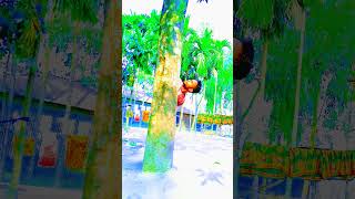 #trending #edit #eskil #viral