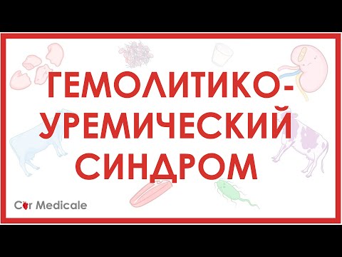 Гемолитико-уремический синдром: что такое, причины, патогенез, симптомы, принципы лечения