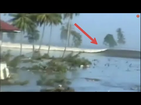 Video: Kiek pastatų buvo sugriauta per Indonezijos cunamį?