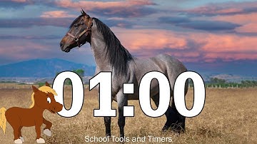 1 Minute 🐴 Horse 🐴 Countdown Timer - Neigh Whinny and Gallop Sounds