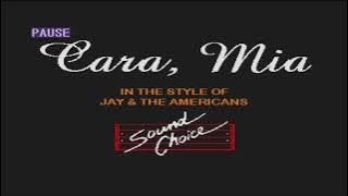 CARA MIA - jay and the americans - KARAOKE