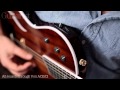 Taylor T5z Custom hybrid hollowbody guitar review demo