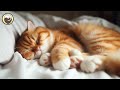 Deep Relaxation Music for Cats - Peaceful Piano Music to Calm Cats