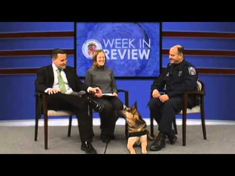 Anne Arundel County Week in Review 602 - Part 2 of 4