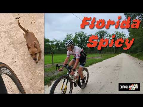 Old Florida Roads Get a Little Spicy