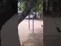Ghost in Delhi Park, Bhoot