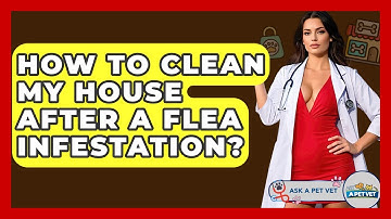 How To Clean My House After A Flea Infestation? - Ask A Pet Vet