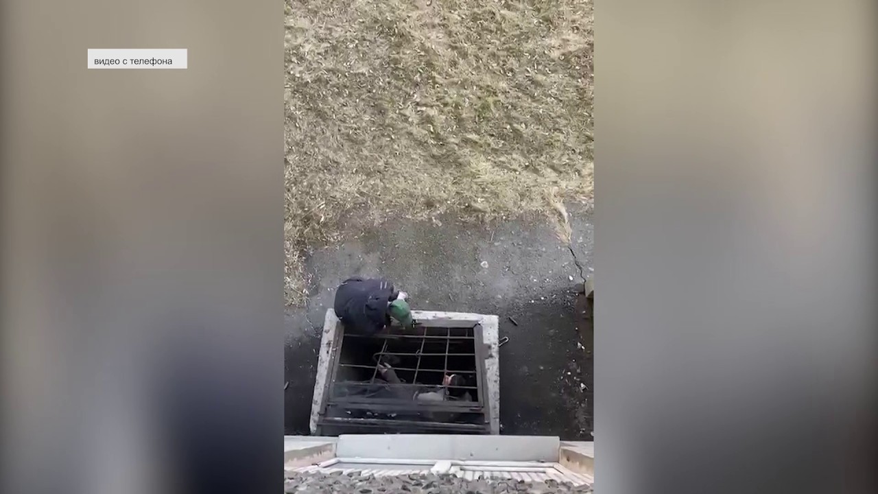 «АПАРТАМЕНТЫ ДЛЯ БЕЗДОМНЫХ»