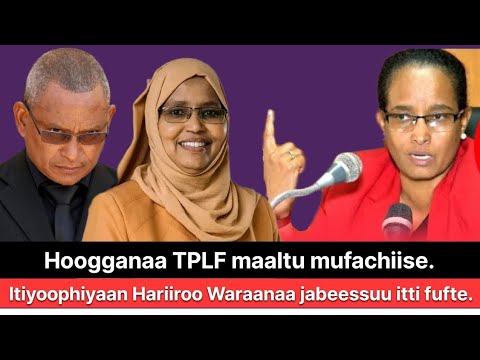 Itiyoophiyaan Biyyoota Addunyaa Jajjaboo Waliin Hariiroo Waraanaa Cimaa Uumte Ameerikaa Faransay