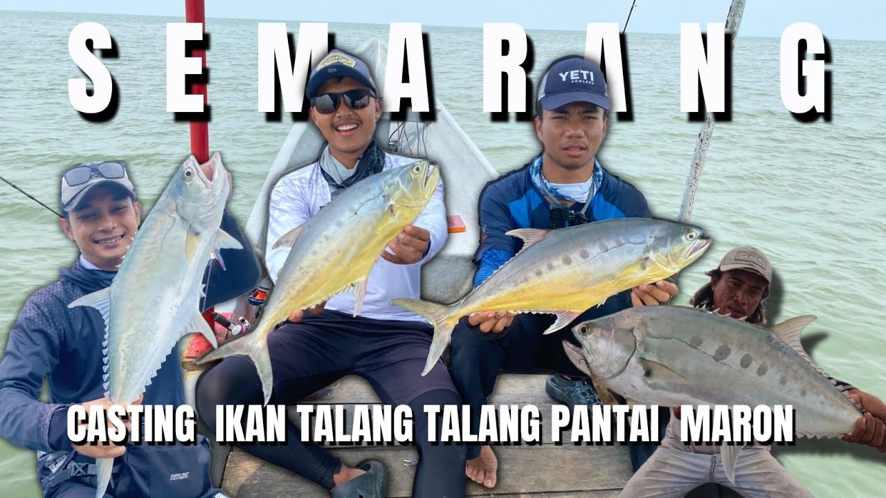MENGERIKAN ‼️CASTING IKAN TALANG-TALANG BENER-BENER BIKIN KETAGIHAN TENAGANYA GA HABIS-HABIS GUYS😱‼️