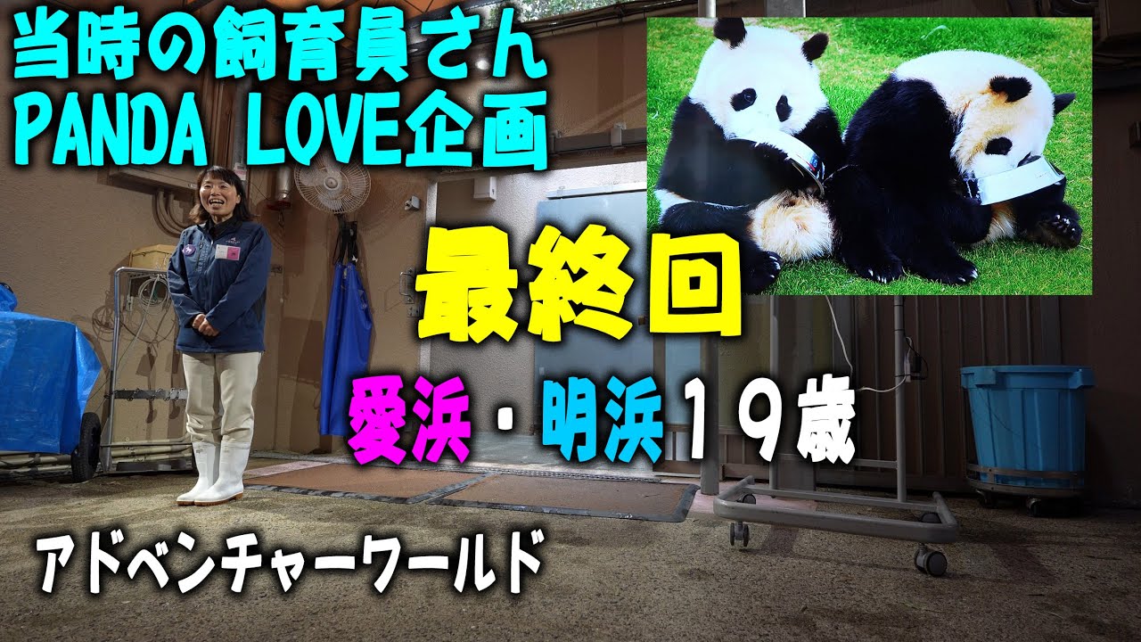 PANDA Birthday LOVE Project Finale] Aihama/Akehama 19th Birthday
