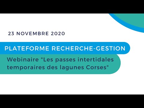 Image du reportage Webinaire "Les passes intertidales temporaires des lagunes Corses" (Pôle-relais lagunes méditerranéennes)