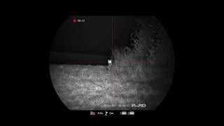 Pard Nightstalker 4K Ex Fox At 60M Using Built In Vscl Ir