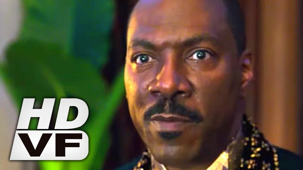 Un Prince à New York 2 Streaming Vf