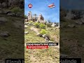 Elazığ Harput’ta Sürü Halinde Dağ Keçileri Görüntülendi