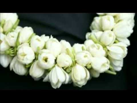 يحيى فرج يامن ظلمني 