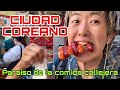 La vida de KAY #57 ~Fuimos a ciudad de Corea en Japón~