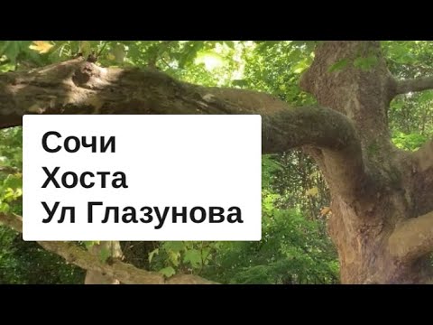 СОЧИ СЕГОДНЯ / ХОСТА / ул ГЛАЗУНОВА / по вашим просьбам