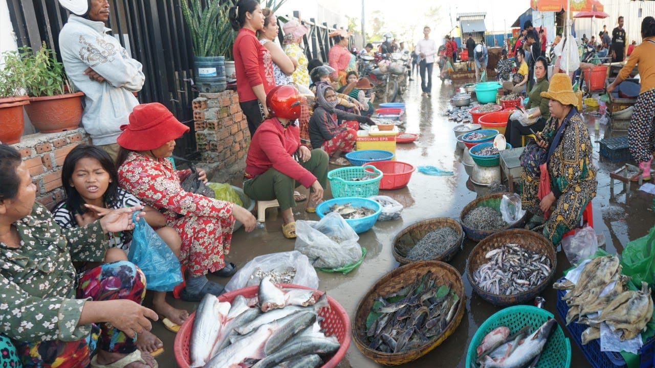 Early Morning Prek Phnov Fish Market - Early Morning Daily Lifestyle of Vendor Buying Fish & Seafood