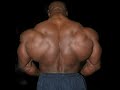   215 genes massive bulktime extreme gorilla stack  massive muscle gainz  insane strength