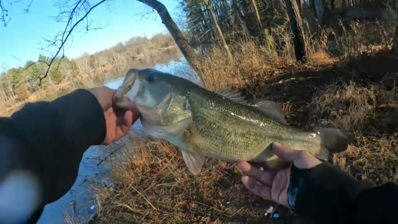 Prespawn bass fishing is here!!!