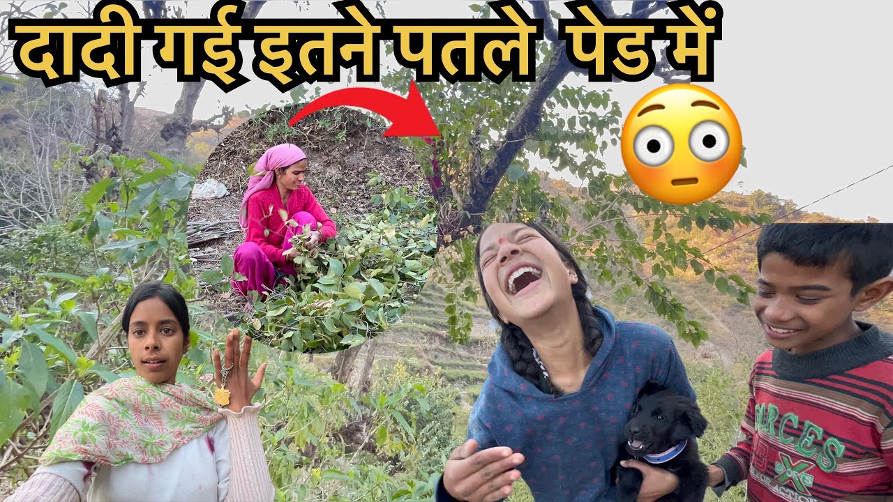 गाँव की महिलाओ को एसे ही पहाड़न नहीं बोलते हैं 🙏काम देखो पहाड़ो मै कितना है 😒 पहाड़ी होना आसान नहीं 