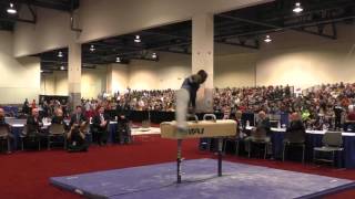 Donnell Whittenburg - Pommel Horse - 2016 Winter Cup Finals