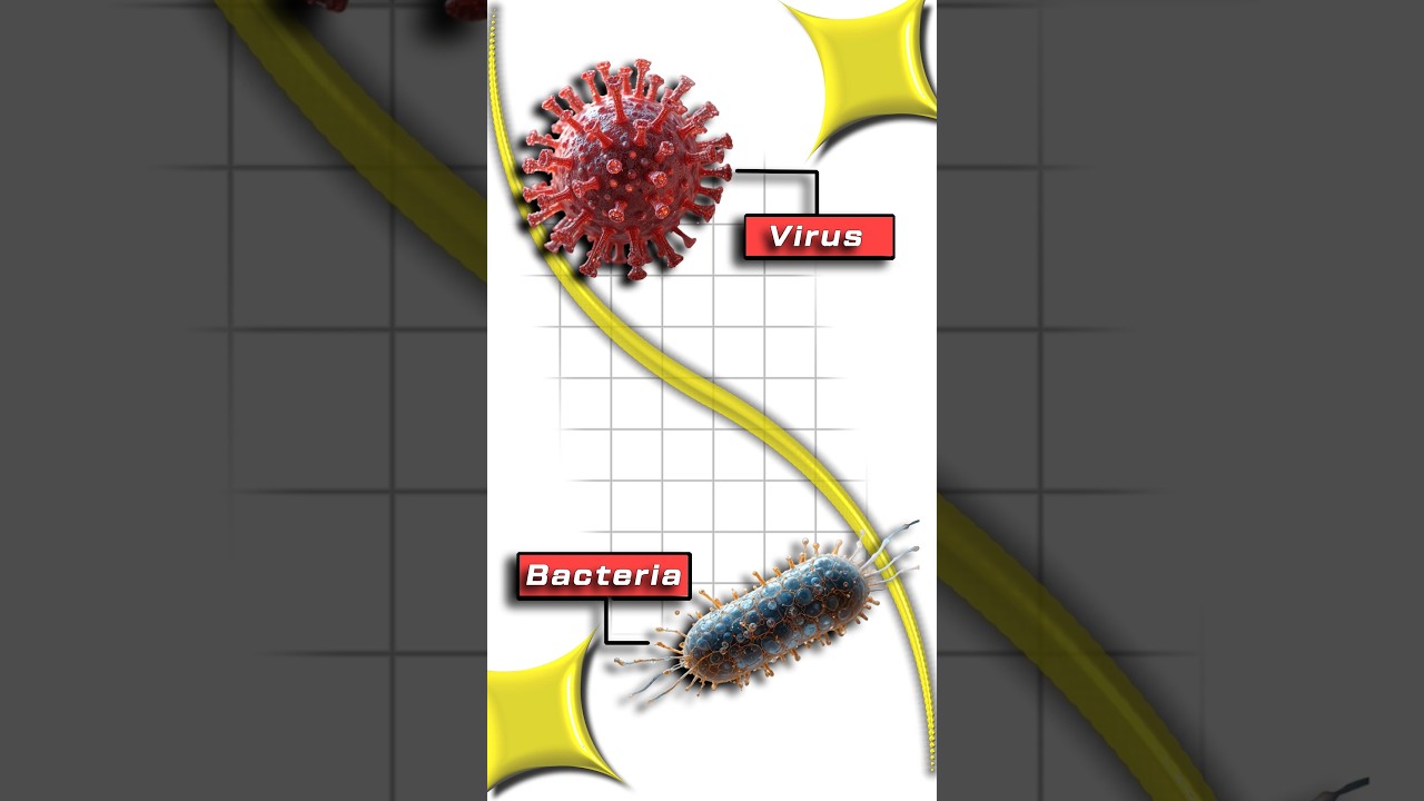 Fever kyun aata hai? Is short video me simple science se samjho💯.#Fever #HealthFacts #ScienceFacts