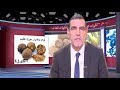 محمد الفايد أضرار جوزة الطيب الكوزة وفوائدها على جسم الإنسان المعرفة Knowledge M محمد الفايد أضرار جوزة الطيب الكوزة وفوائدها على جسم الإنسان المعرفة Knowledge M