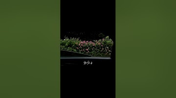 ( وجوه يومئذ ناعمه لسعيها راضيه) القارئ : عبدالرحمن مسعد