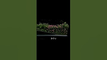 ( وجوه يومئذ ناعمه لسعيها راضيه) القارئ : عبدالرحمن مسعد