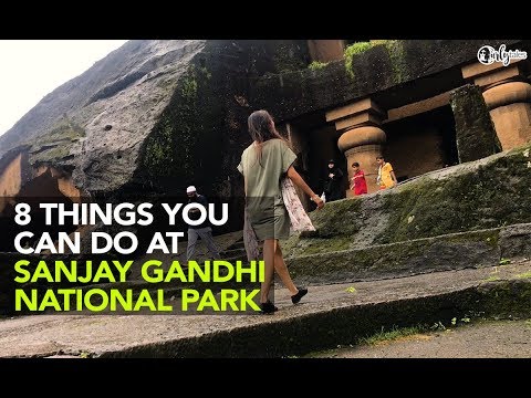 Sanjay Gandhi National Park | Curly Tales