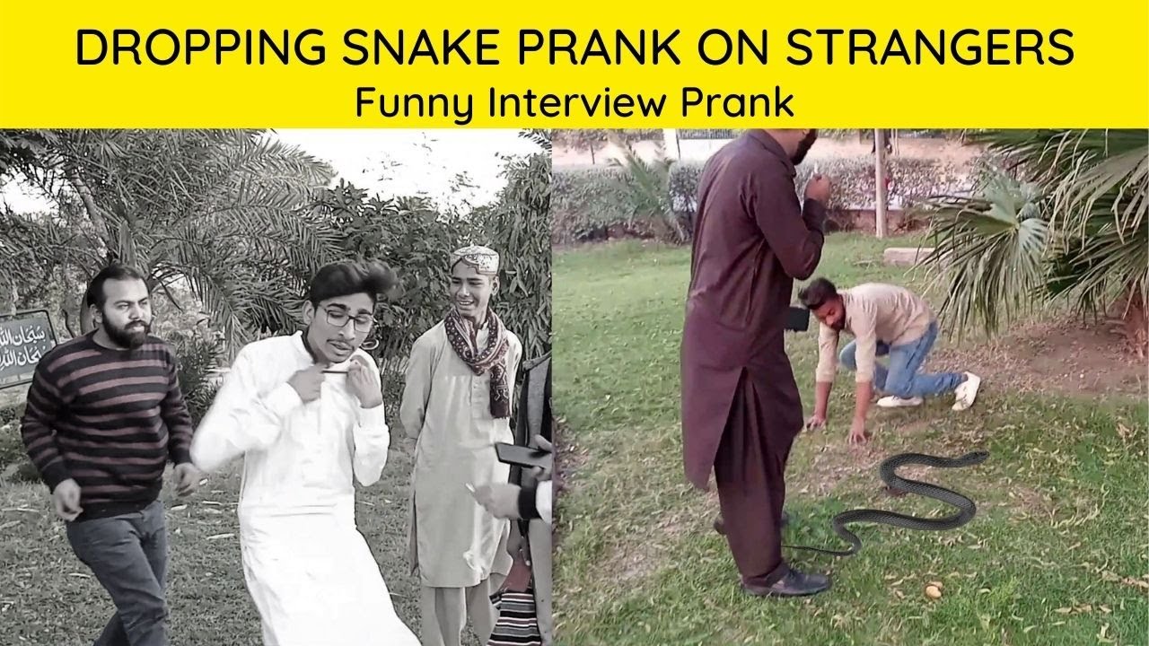 Snake Multan Scarry Snake Prank | Funny Interview Prank | Multan Pranks Tv - YouTube