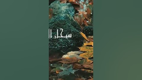 #المصحف تلاوات وخشوع بصوت الشيخ عبدالولي الاركاني