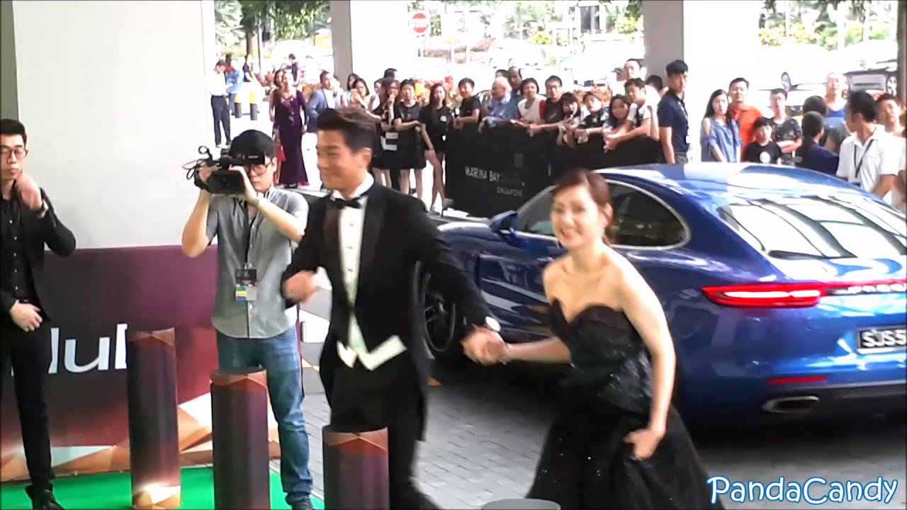 Starhub TVB Awards 星和无线电视大奖 2017 Red Carpet #9