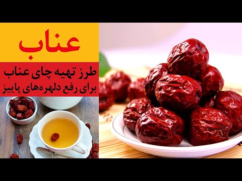 خواص و درمان بیماری ها با عناب و طرز تهیه چای عناب برای رفع دلهره های پاییزی