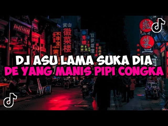 DJ ASU LAMA SUKA DIA DE YANG MANIS PIPI CONGKA JEDAG JEDUG MENGKANE VIRAL TIKTOK class=