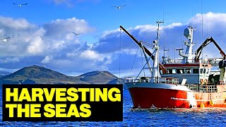 Life and Work On a Commercial FISHING Boat // Full Documentary