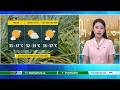 Dự báo thời tiết nông vụ ngày 15/06/2026 | Hôm nay tiếp tục nắng nóng | VTVWDB