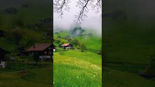 Switzerland Ambience 🇨🇭🌄 | Is This the Calm You Needed? screenshot 4