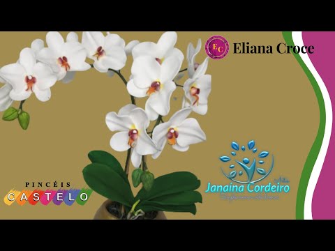 ORQUIDEA BRANCA DE